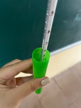 Đỗ Thảo